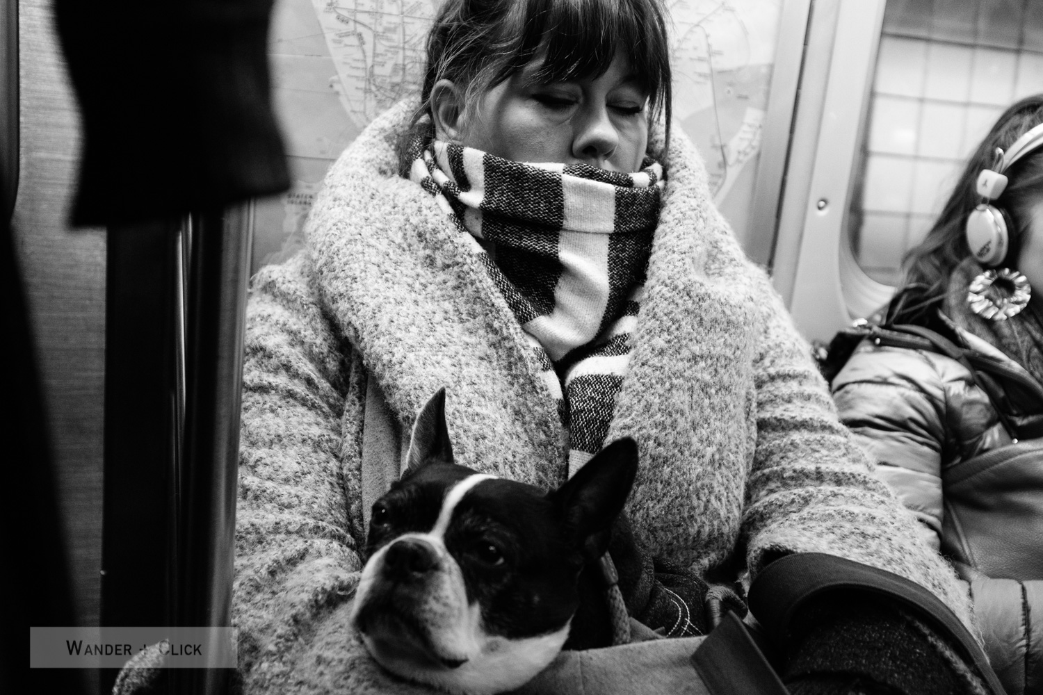 The dog's in the bag