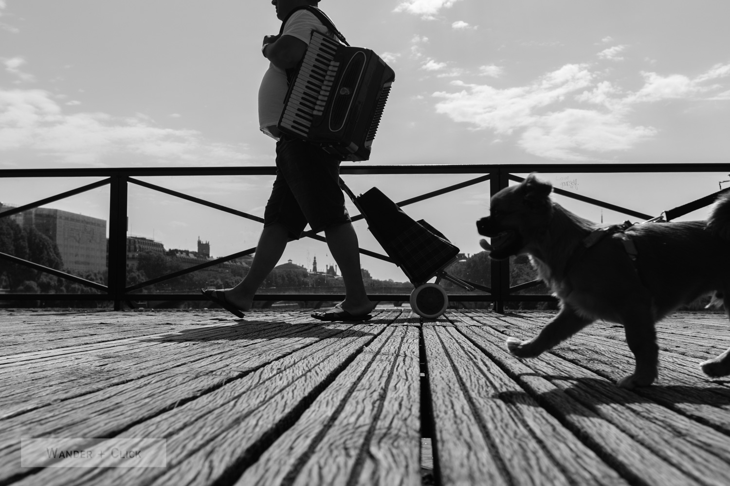 The musician and the dog