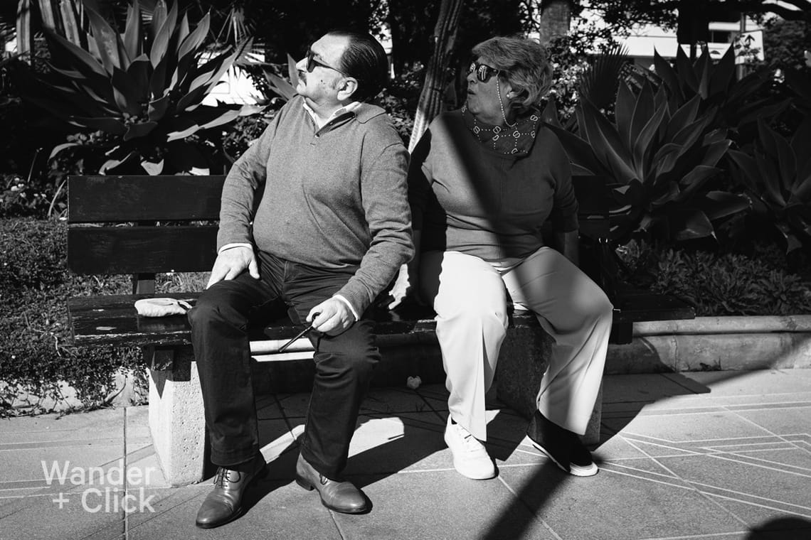 Something in the tree